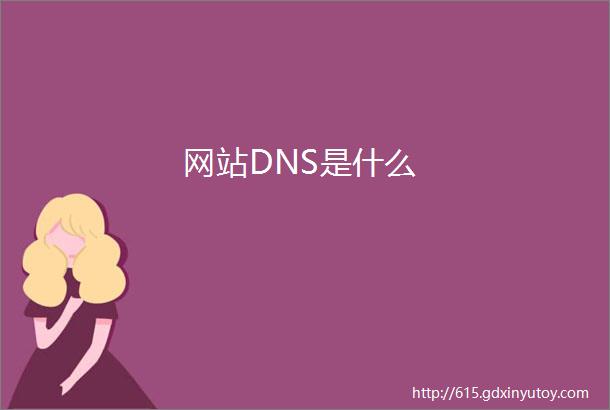 网站DNS是什么